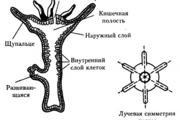 Кракен ссылка на сайт com